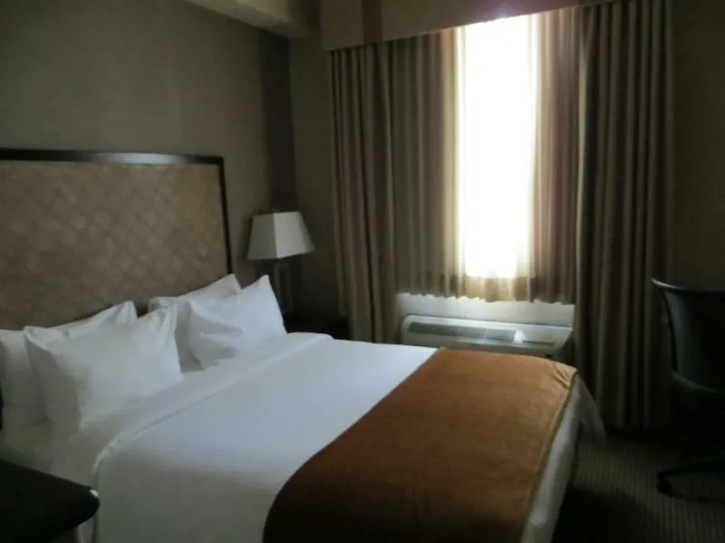 Acclaim Hotel By Clique YYC Canadá